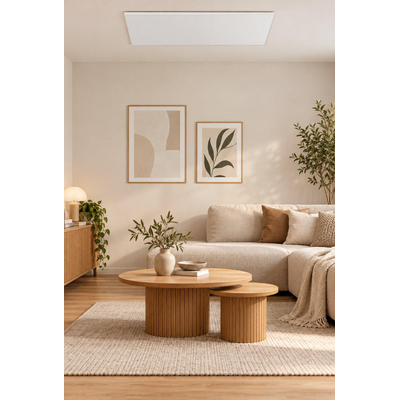 Eurom Mon Soleil Infrarood paneel - 103.7x63.8cm - IP24 - 600watt - wifi - vloer/wand- Horizontaal / Verticaal - metaal wit mat