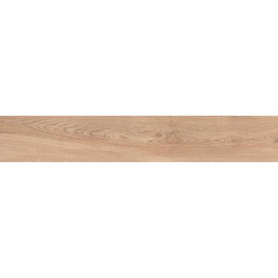 ÉCHANTILLON Ceralto Fenera Plank Carreau de sol et de mur 25x150cm 10mm rectifié R10 grès cérame Industrial
