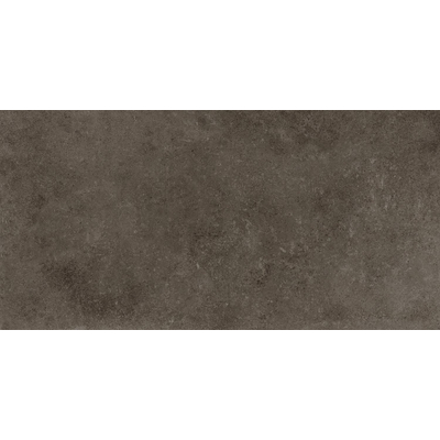 ÉCHANTILLON Terravito Sigillo carreau mural et de sol - 29,6x59,5cm - 8mm - rectifié - effet béton - Anthracite