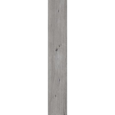 Terravito Darivo carrelage sol et mur - 20x120cm - 9mm - rectifié - (Gris)
