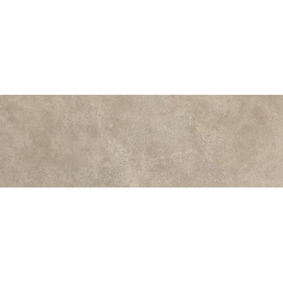 ÉCHANTILLON Terravito Elzino carreau mural - 25x75cm - rectifié - Aspect pierre naturelle - Grey mat (gris)