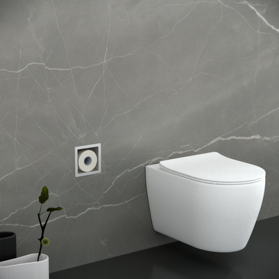 FugaFlow Eccelente Acces Inbouw Reserve toiletrolhouder - Geborsteld RVS PVD (RVS)