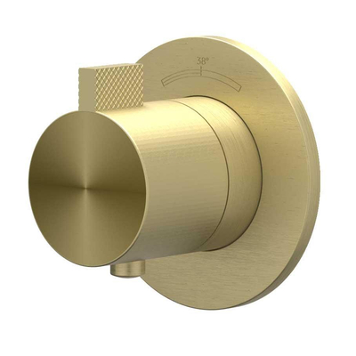 IVY TribeAfbouwdeel - pour Mitigeur thermostatique encastré - symmetry - rosace ronde - ACIER INOXYDABLE 316 - or mat brossé PVD