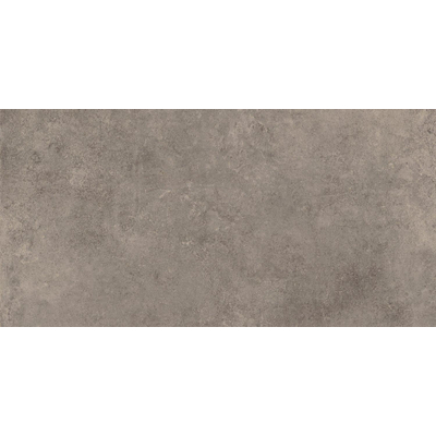 Atlas concorde solution carreau de sol et de mur 29.6x59.5cm 8mm rectifié antidérapant aspect béton gris