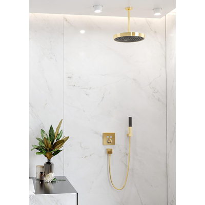 Hansgrohe Raindance e - douchearm plafond - 30cm - glans goud
