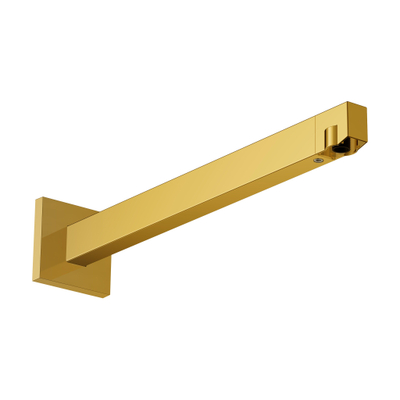 Hansgrohe Raindance alive Douchearm - 39cm - gepolijst goud (goud)