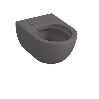 Royal Plaza Primo Toiletset - 48.5cm - hangend - spoelrandloos - diepspoel - verkort - met zitting - softclose - quick release - antraciet