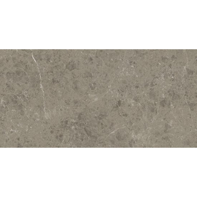 SAMPLE Ceralto Calisto Luxe Vloer- en wandtegel - 60x120cm - 9mm - gerectificeerd - Porcellanato - Grigio Elegante (Grijs)
