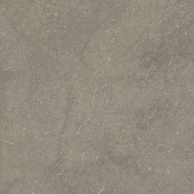 ÉCHANTILLON Terravito Rovella carreau mural et de sol - 60x60cm - rectifié - Aspect pierre naturelle - Taupe mat (brun)