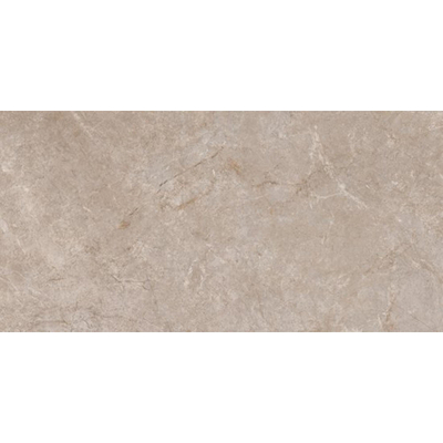 ÉCHANTILLON Ceralto Serrano Studio 600x1200 Pierre riche Boue Sable St 8.2Mm Mat Ret.R10 Boue