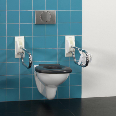Handicare Handicare Linido Barre d'appui pour toilettes - 60cm - rabattable - acier inoxydable/blanc