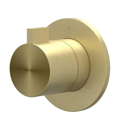 IVY Tribe Partie apparente - robinet d'arrêt encastré à passage intégral - symmetry - rosace ronde - RVS316 - or mat brossé PVD