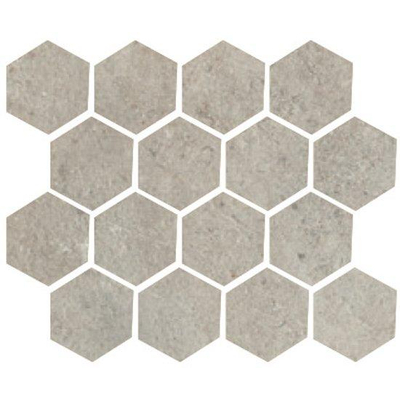 Serenissima Promenade VLMoz.250X300 Argento 10mm Mat Ret.R10 F:Esagonia