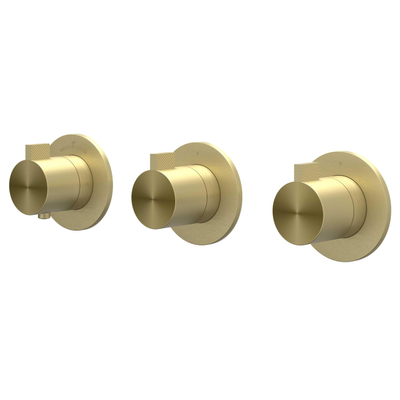 IVY Tribe Ensemble de douche de tête - encastré - symmetry - 2 robinets d'arrêt - bras de plafond 20 cm - douche de tête medium 30 cm - support avec sortie - flexible de douche 150 cm - douchette à main modèle barre - ACIER INOXYDABLE 316 - or brossé mat