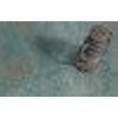 SAMPLE EnergieKer Carrelage sol et mur Flatiron Jeko Rectifié Look industriel Mat Vert