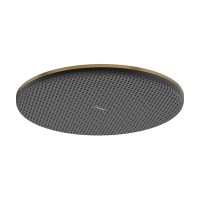Hansgrohe Raindance alive pomme de douche 300 1 jet EcoSmart+ Bronze brossé (bronze)