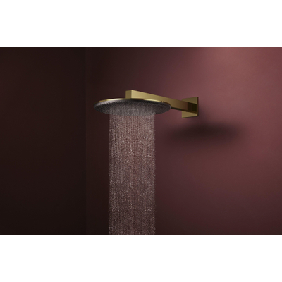 Hansgrohe Raindance alive pomme de douche 300 1 jet Polished Gold Optic (or)