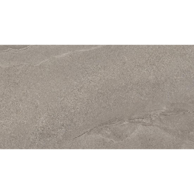 Beste Koop 295x595 Boston Taupe Mat 8Mm Ret.R9 Taupe