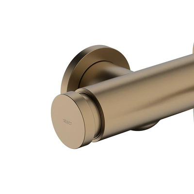 Hansgrohe Tecturis Mitigeur bain apparent brushed bronze