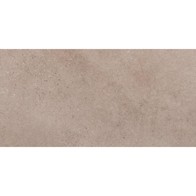 ÉCHANTILLON Ceralto Orsini Studio Carreau de sol - 30x60cm - 8.5mm - Gris