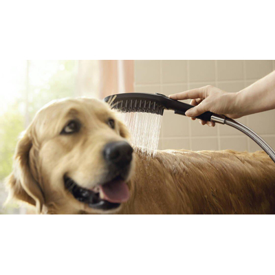 Hansgrohe Dogshower Handdouche - voor de hond - 150 - 3jet - met massagenoppen - mat zwart