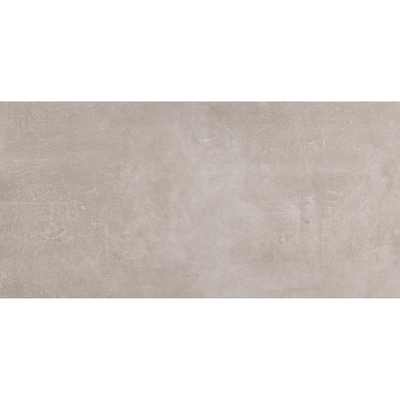 ÉCHANTILLON Ceralto Alvera Facet Carreau mural - 30x60cm - 8.5mm - gris