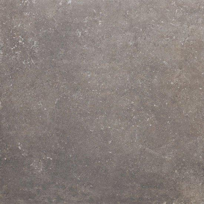 SAMPLE Ceralto Quercio Plank Carrelage sol et mur 60x60cm 8.8mm rectifié R10 grès cérame Musk