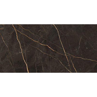 ÉCHANTILLON Terravito Dapuro carreau mural et de sol - 60x120cm - rectifié - aspect pierre naturelle - Laurent polished poli (anthracite)