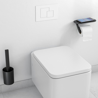Hansgrohe wallstoris brosse WC et porte-papier toilette noir mat