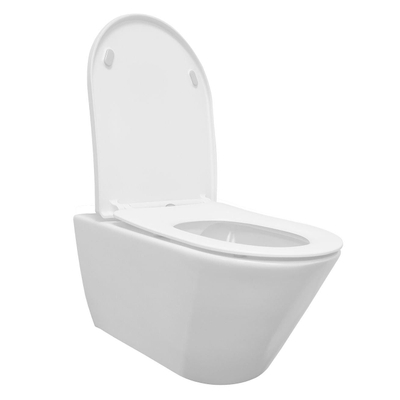 Wiesbaden Stereo hangtoilet – spoelrandloos – diepte 53 cm – met Shade slim softclose zitting – mat wit