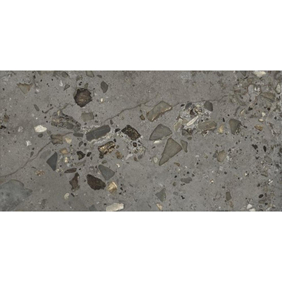Ceralto Elaris Oak Carreau de sol - 60x120cm - 9.0mm - rectifié - Sassi anthracite