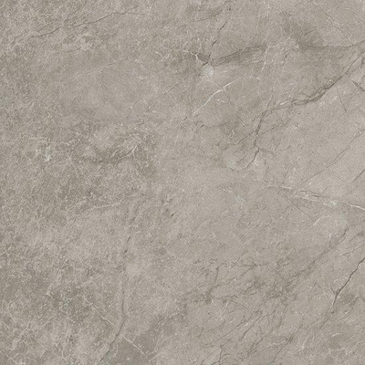 Ceralto Calisto Luxe Vloertegel - 59.5x59.5cm - 9.0mm - gerectificeerd - Silver majestic