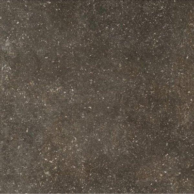 SAMPLE Douglas Jones Elemental Carreau de sol et de mur 80x80cm 10mm rectifié R10 grès cérame Desir