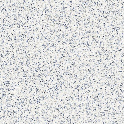 Ceralto Nocera Mini Vloertegel - 120x120cm - 9.0mm - gerectificeerd - Azzuro