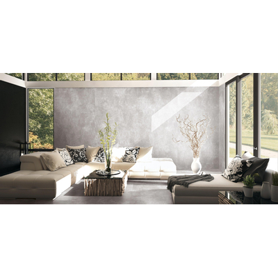 Terravito Davano wand- en vloertegel - 60x60cm - Vierkant - 9mm - gerectificeerd - Betonlook - Loft Ash