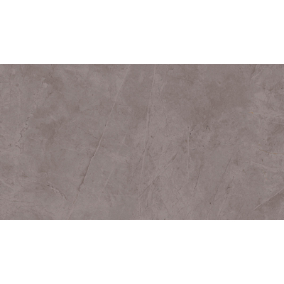 Atlas Concorde Solution Exigo Keramische wand - 30.5x56cm - 9.0mm - gerectificeerd - Grey