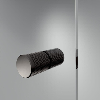 Sealskin Contour draaideur met zijwand 100x100 cm, 200 cm hoog, zwart, 6 mm helder veiligheidsglas