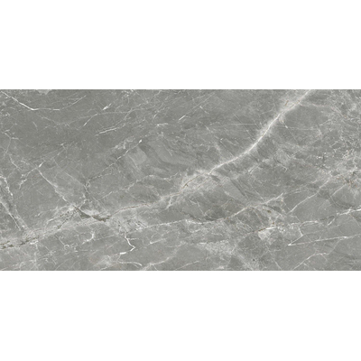 SAMPLE Terravito Gizino Keramische vloer & wand - 60x120cm - 10.5mm - gerectificeerd - Grijs