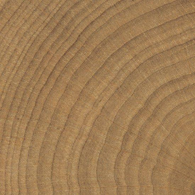 SAMPLE vtwonen Tegels Woodcirkle Vloertegel - 10x10cm - 9.5mm - Walnutt