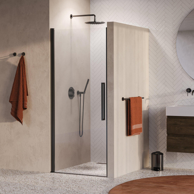 BRAUER Cosmic Nisdeur - 90x200 - draaiend - helder - glas omkeerbaar incl. glascoating - geborsteld gunmetal PVD