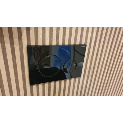 Geberit Sigma20 bedieningsplaat - 2-toets spoeling - ronde knoppen - zwart/matzwart/zwart - dualflush - glans zwart mat