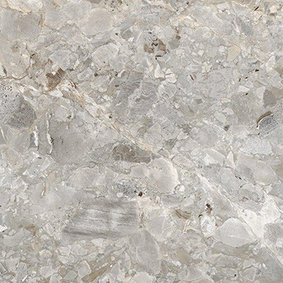 Ceralto Elaris Oak Vloertegel - 90.6X90.6 - 9mm - mat - ash