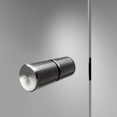 Sealskin Contour porte pivotante pour niche 90 cm, 200 cm de haut, inox, verre de sécurité clair 6 mm