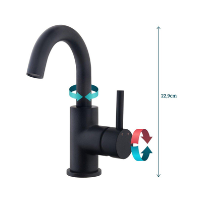 Wiesbaden Caral Mitigeur lavabo à bec pivotant noir mat