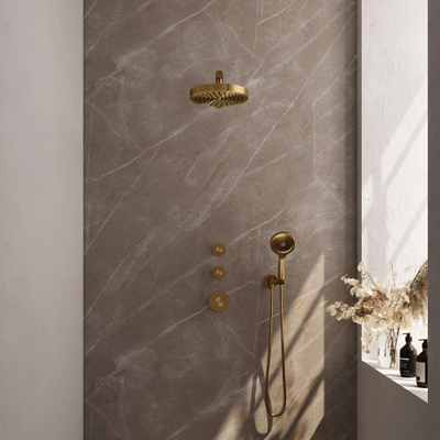 BRAUER Stripe Thermostatische Inbouw Regendouche - SET 04 - 25cm douchekop - rechte muurarm - 3-standen handdouche - doucheslang - wandaansluitbocht - goud geborsteld PVD
