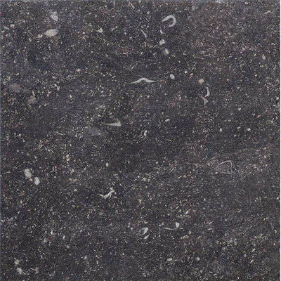 Cir Di Pietra Ardennes Carrelage de sol - 60.8x60.8cm - 10.0mm - rectifié - Nero