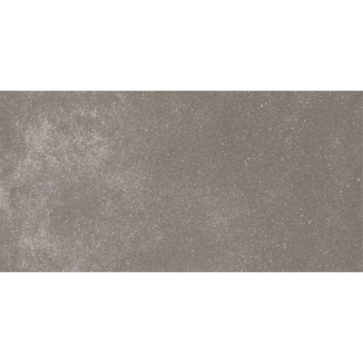 Ceralto Ivarno Core Carreau de sol - 60X120 - 6.5mm - mat - gris