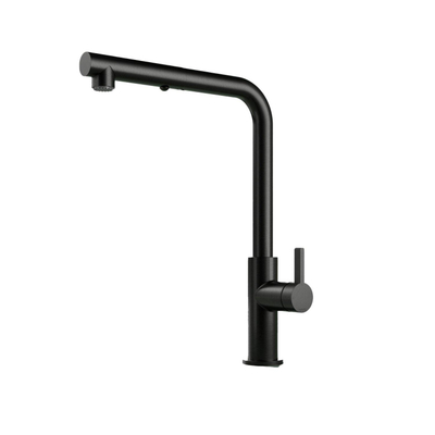 Hotbath Ace Keukenmengkraan - opbouw - draaibare uitloop - handdouche - Duo-spray - PVD - mat zwart