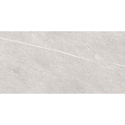 Terravito Ostino - 120x60cm - 20mm - rectifié - Gris