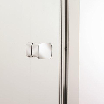 Crosswater Clear 6 Draaideur - 100x195cm - 6mm - helder veiligheidsglas - zilver